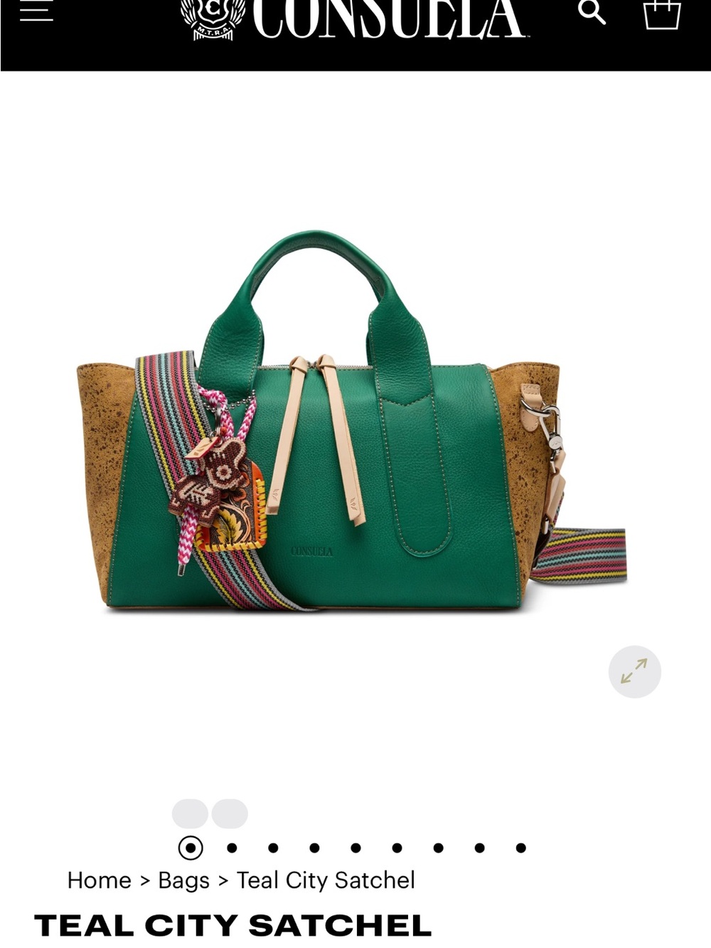 Consuela Green Teal City Satchel with Striped Strap